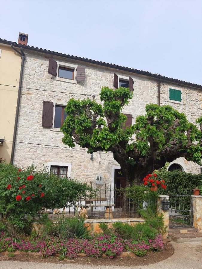 Casa Girasole Βίλα Buje Εξωτερικό φωτογραφία
